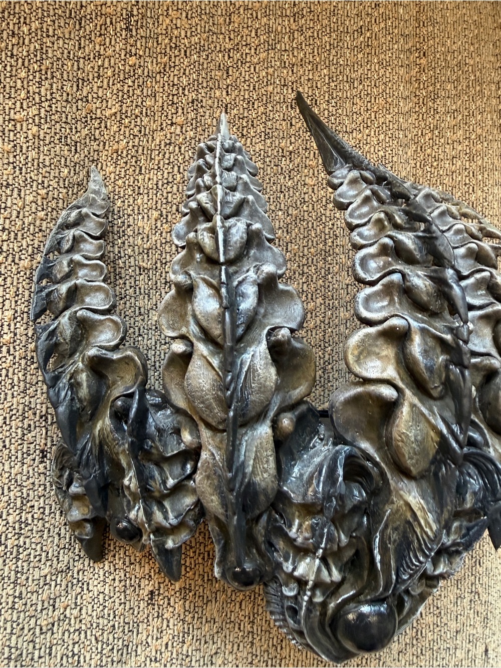 Ornate Gothic Witch Queen Vertebrae Crown and a Full Set of Vertebrae Claw Rings - Picture 5 of 10